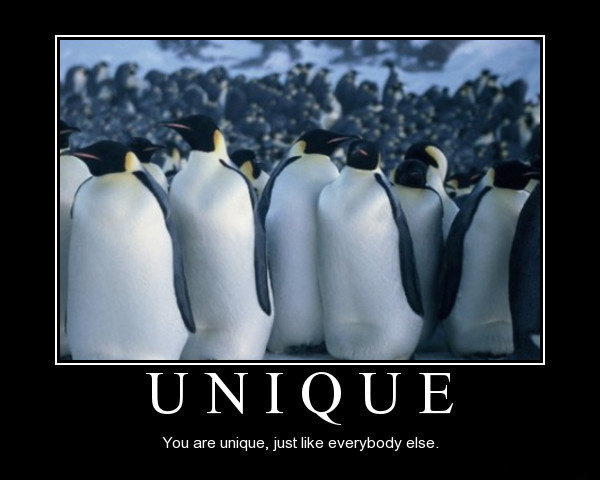 Everybody likes them. You are unique like everyone else. You are unique. You unique. You're the unique.
